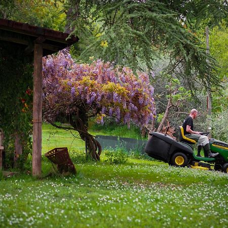 Tuscany Time Montefoscoli Bagian luar foto
