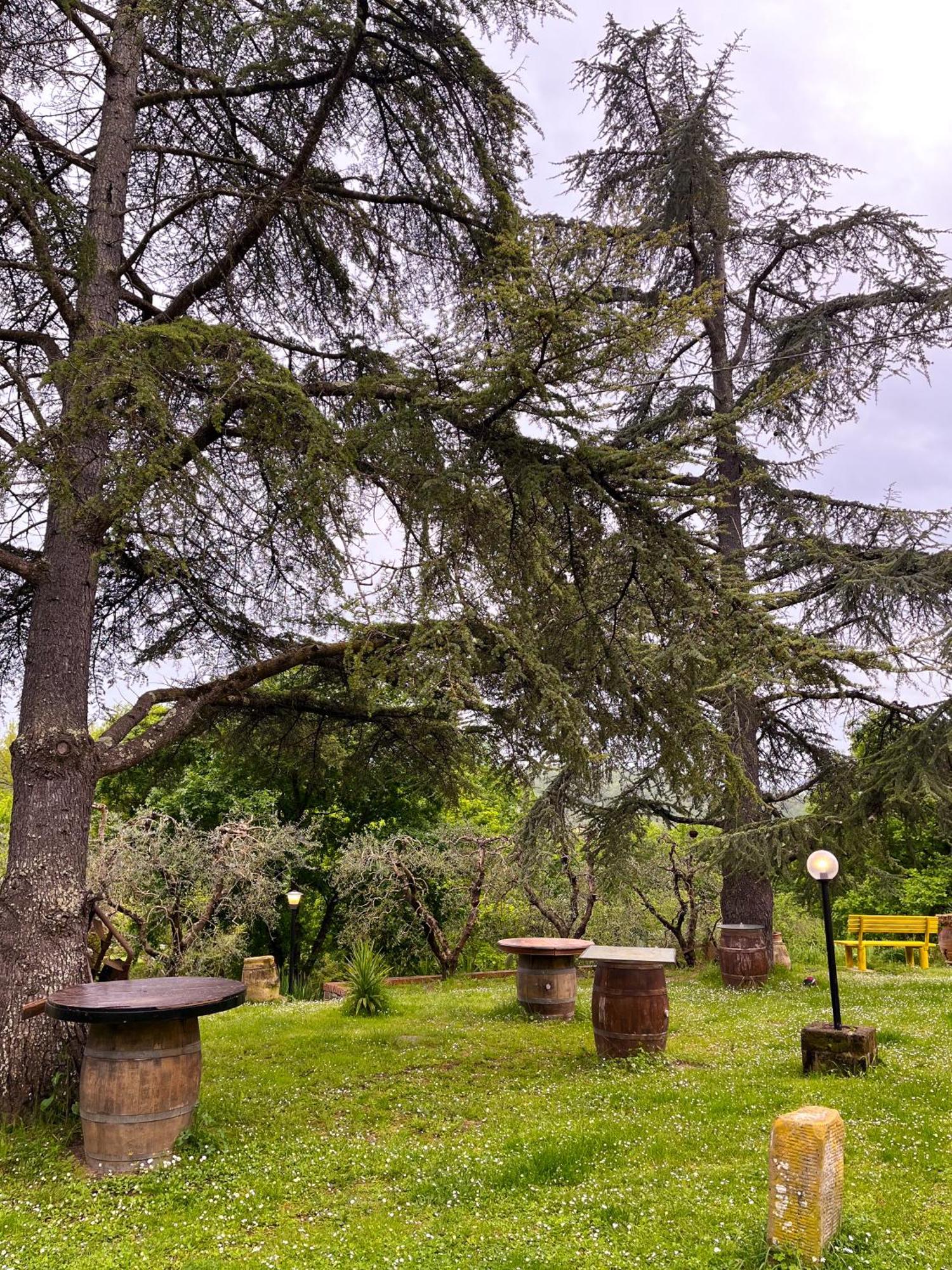 Tuscany Time Montefoscoli Bagian luar foto